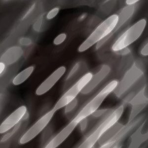 Photo of Ridehumm