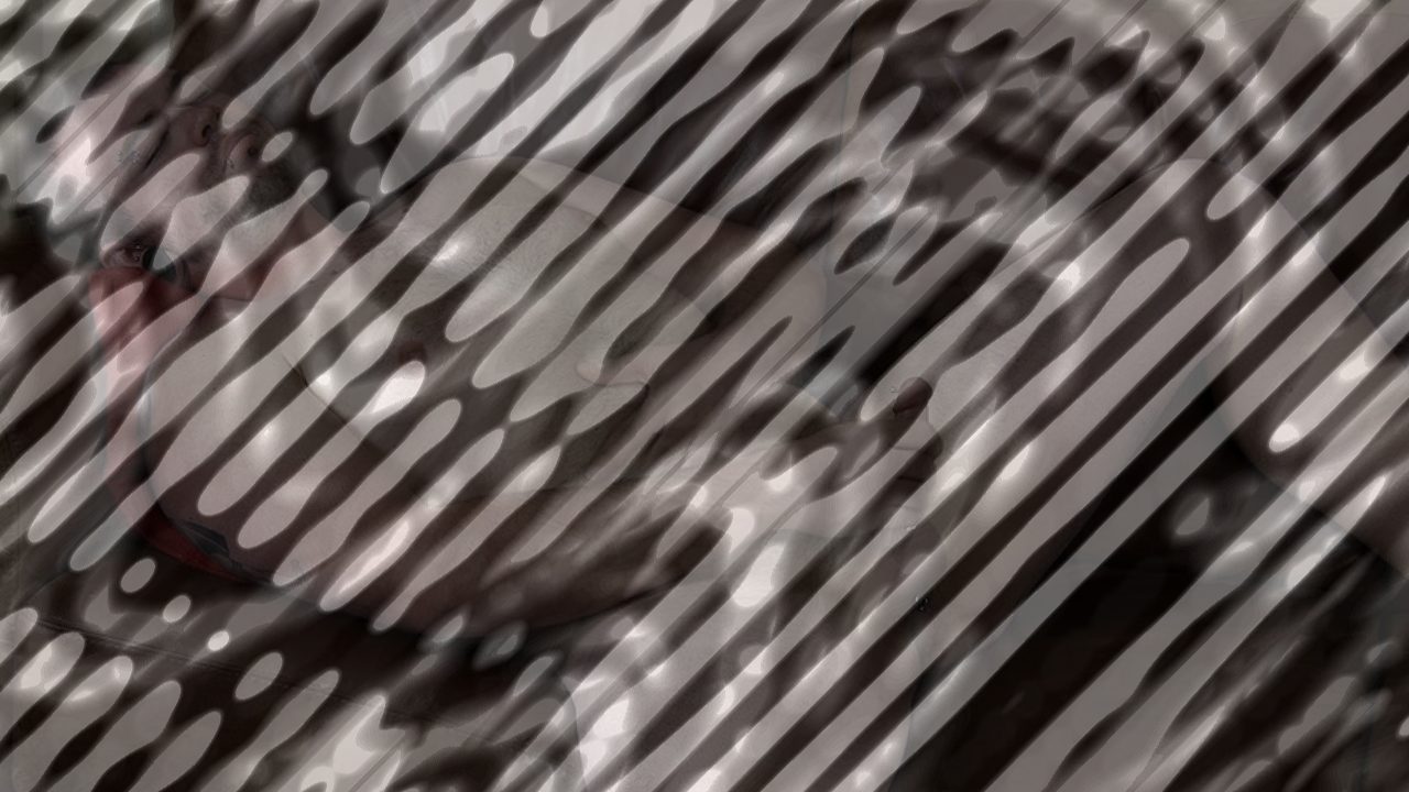 Photo of Steel Strokes