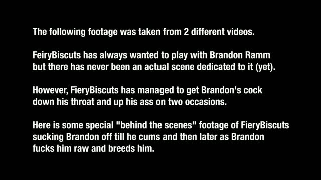 Photo of Extra: Brandon and FieryBiscuts