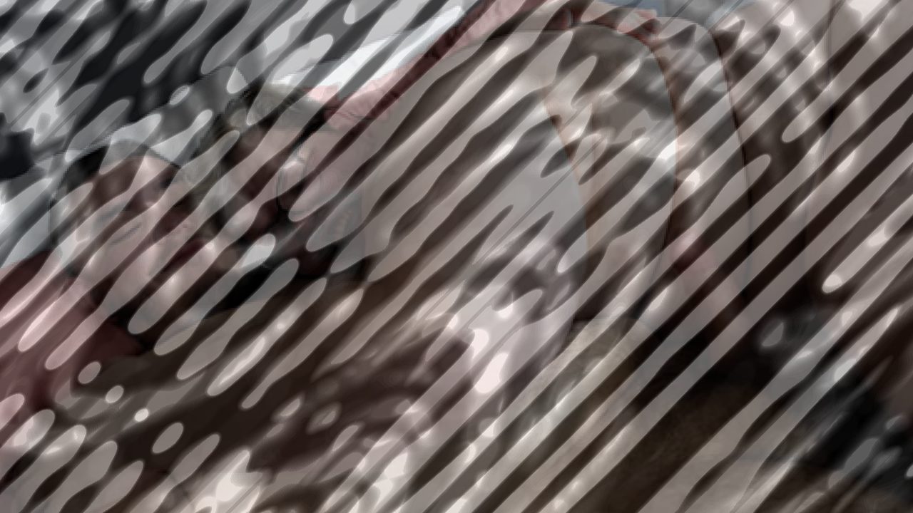 Photo of Zero gets Gaged