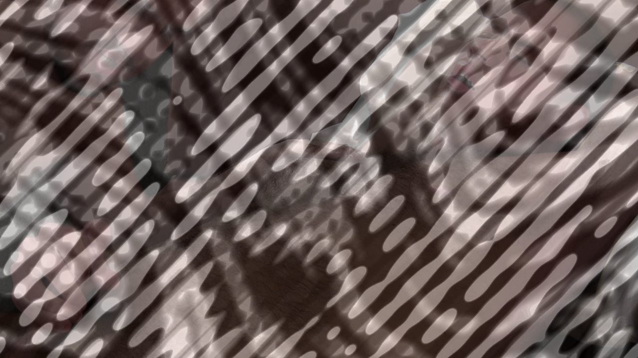 Photo of Blake's Blowjob
